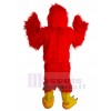 Eagle mascot costume