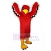 Eagle mascot costume