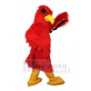Eagle mascot costume