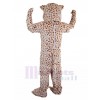 Leopard mascot costume