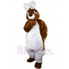 Rabbit mascot costume