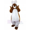 Rabbit mascot costume