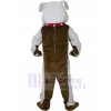 Dog mascot costume