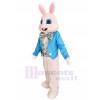 Rabbit mascot costume