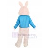 Rabbit mascot costume