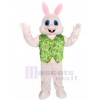Rabbit mascot costume