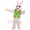 Rabbit mascot costume