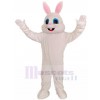 Rabbit mascot costume