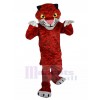 Tiger mascot costume