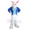 Rabbit mascot costume