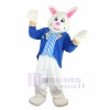Rabbit mascot costume