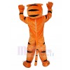 Tiger mascot costume