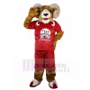 Ram mascot costume
