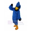 Eagle mascot costume