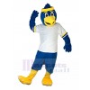 Bird mascot costume