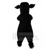 Bull mascot costume