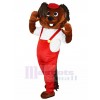 Hamster mascot costume