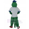 Crocodile mascot costume