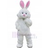 Rabbit mascot costume