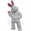 Rabbit mascot costume