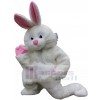 Rabbit mascot costume