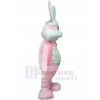 Rabbit mascot costume