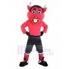 Devil mascot costume