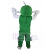 Fish mascot costume