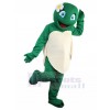 Sea Turtle mascot costume