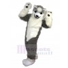 wolf mascot costume
