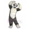 wolf mascot costume