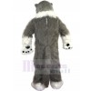 wolf mascot costume