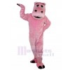 Hippo mascot costume