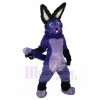Rabbit mascot costume