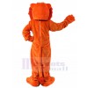 Lion mascot costume