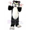 cat mascot costume