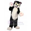 cat mascot costume