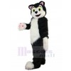 cat mascot costume