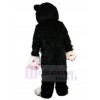 cat mascot costume