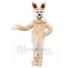 Rabbit mascot costume