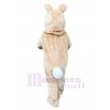 Rabbit mascot costume