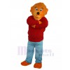 Bear mascot costume
