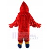 Cardinal mascot costume