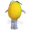 Pear mascot costume