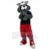 wolf mascot costume