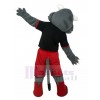 wolf mascot costume