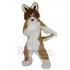 Dog mascot costume