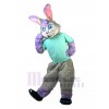 Rabbit mascot costume