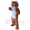 Tiger mascot costume