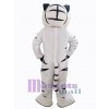 Tiger mascot costume